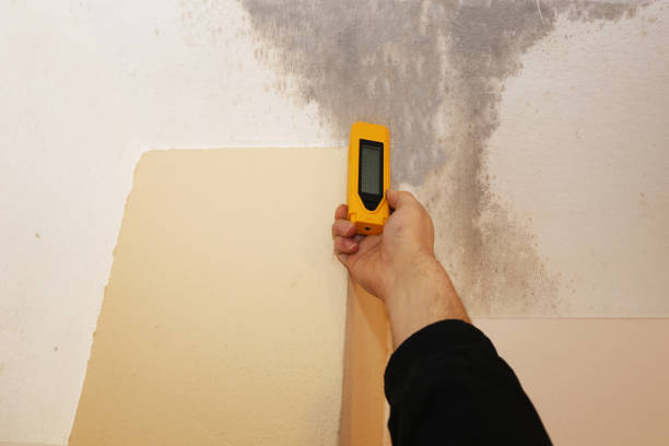 Best Forensic Mold Investigation  in Ledgewood, NJ