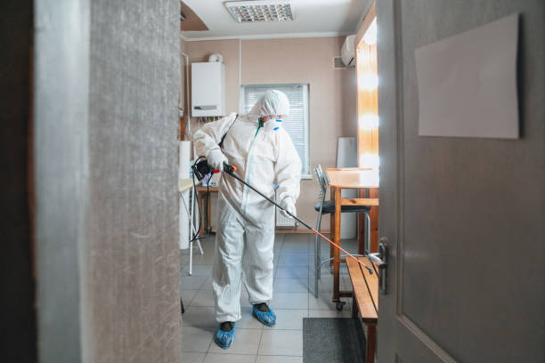 Best HVAC Mold Inspection and Cleaning  in Ledgewood, NJ