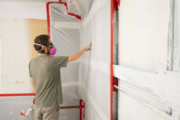 Mold Odor Removal Services in Ledgewood, NJ