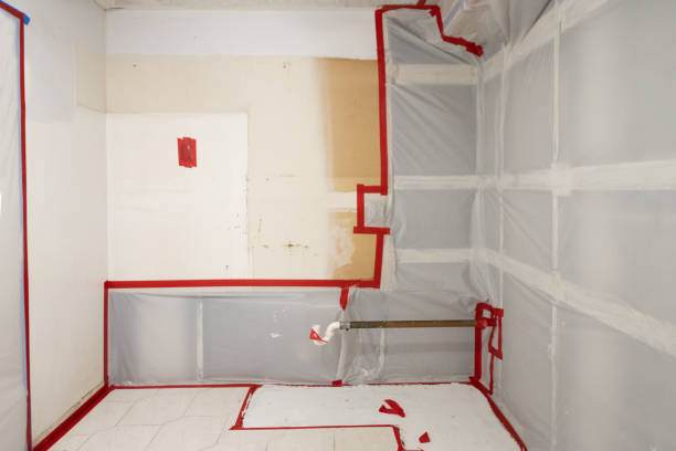 Best Black Mold Removal  in Ledgewood, NJ