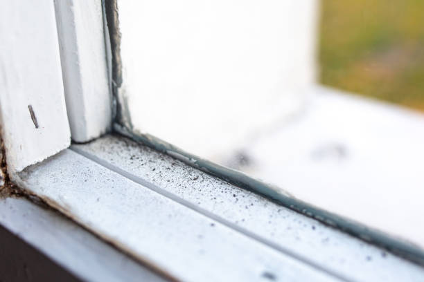Best Dehumidification Services  in Ledgewood, NJ