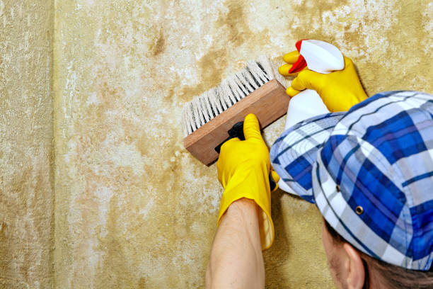 Best Post-Remediation Verification Testing  in Ledgewood, NJ